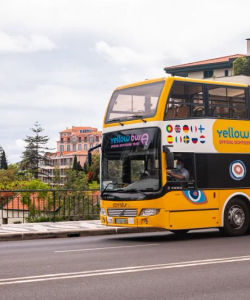 Yellow Bus: Funchal Bus Tour with Whale & Dolphin Watching by Boat