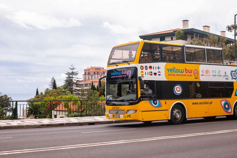 Yellow Bus: Funchal Bus Tour with Whale & Dolphin Watching by Boat