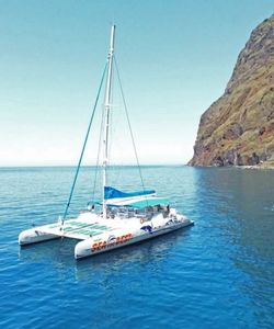 Yellow Bus: Funchal Bus Tour with Whale & Dolphin Watching by Boat