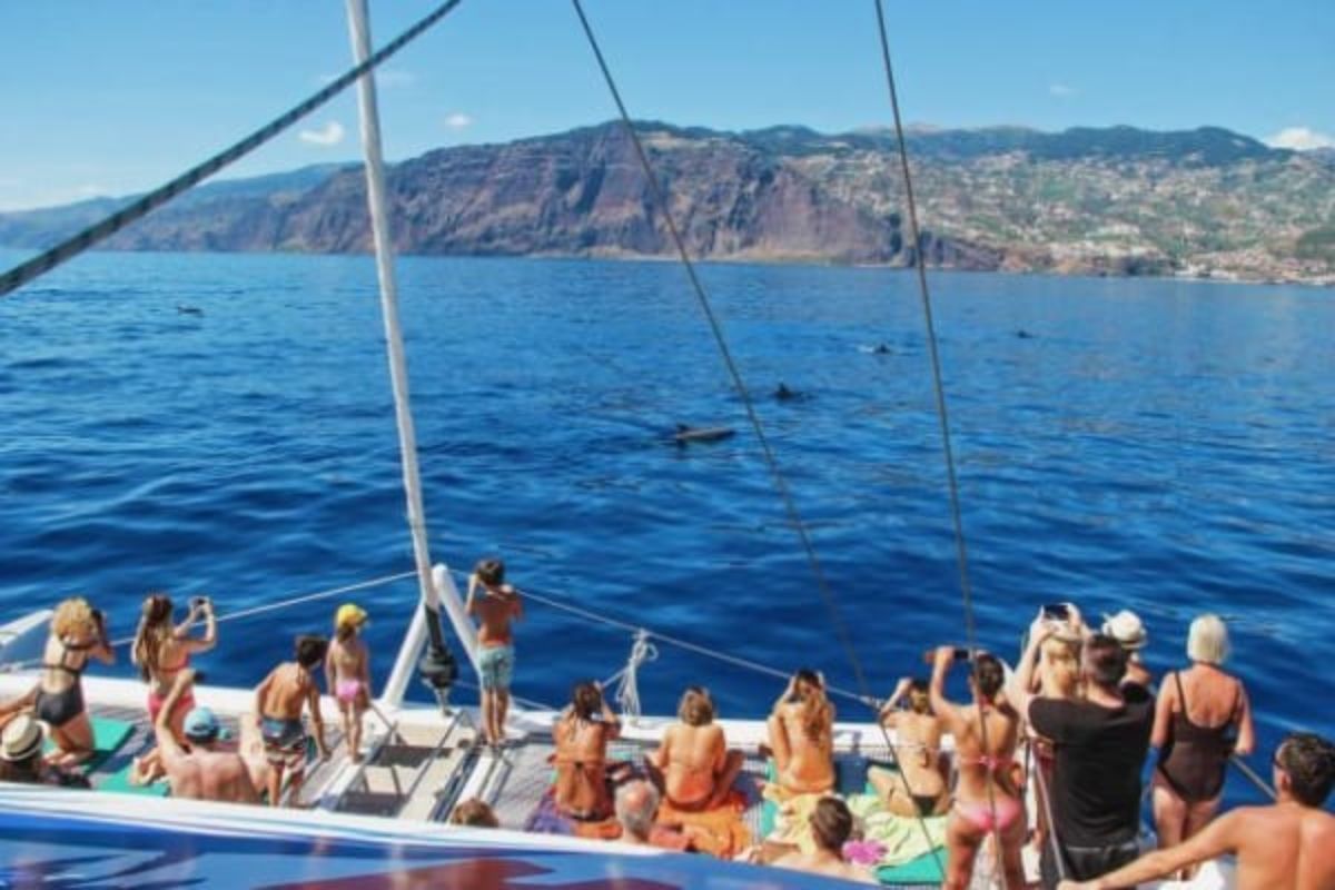 Funchal Hop On Hop Off