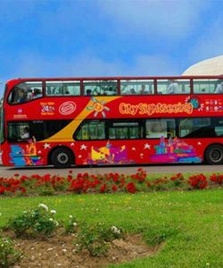 City Sightseeing: Santander Hop-On, Hop-Off Bus and Train Tour