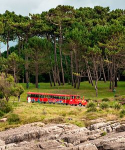 City Sightseeing: Santander Hop-On, Hop-Off Bus and Train Tour