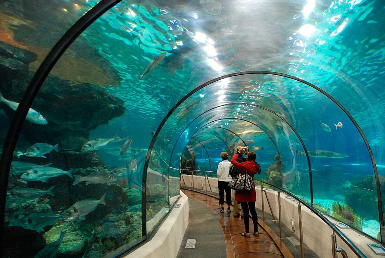 Benalmadena Sea life