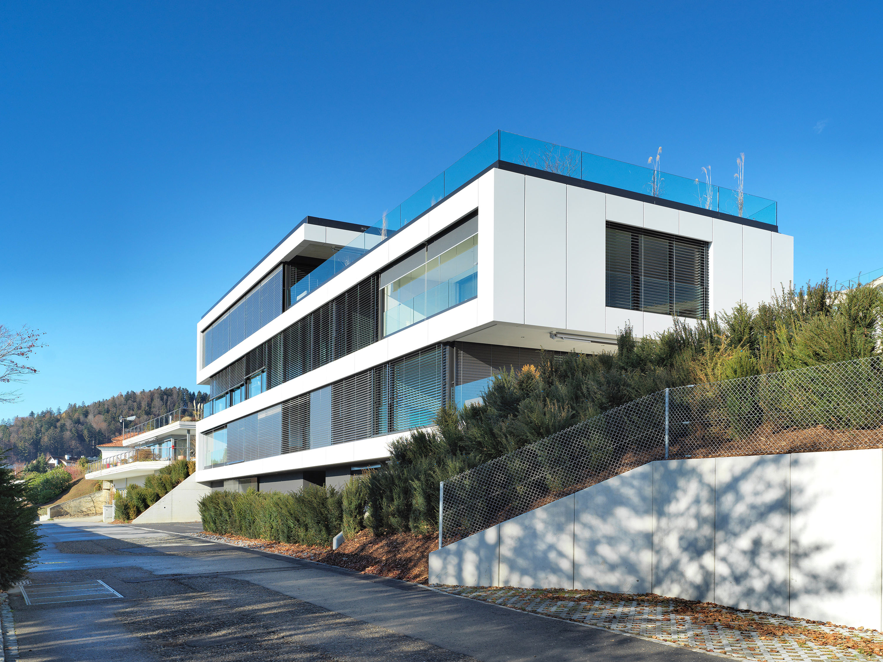 ENTFALTUNG MFH Hasenloh Oberägeri 01