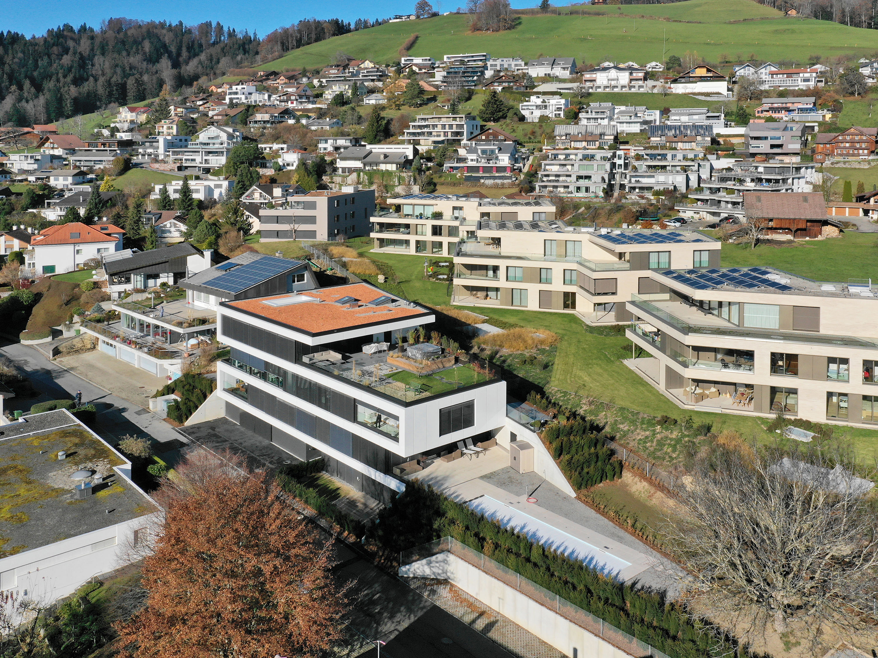 ENTFALTUNG MFH Hasenloh Oberägeri 06