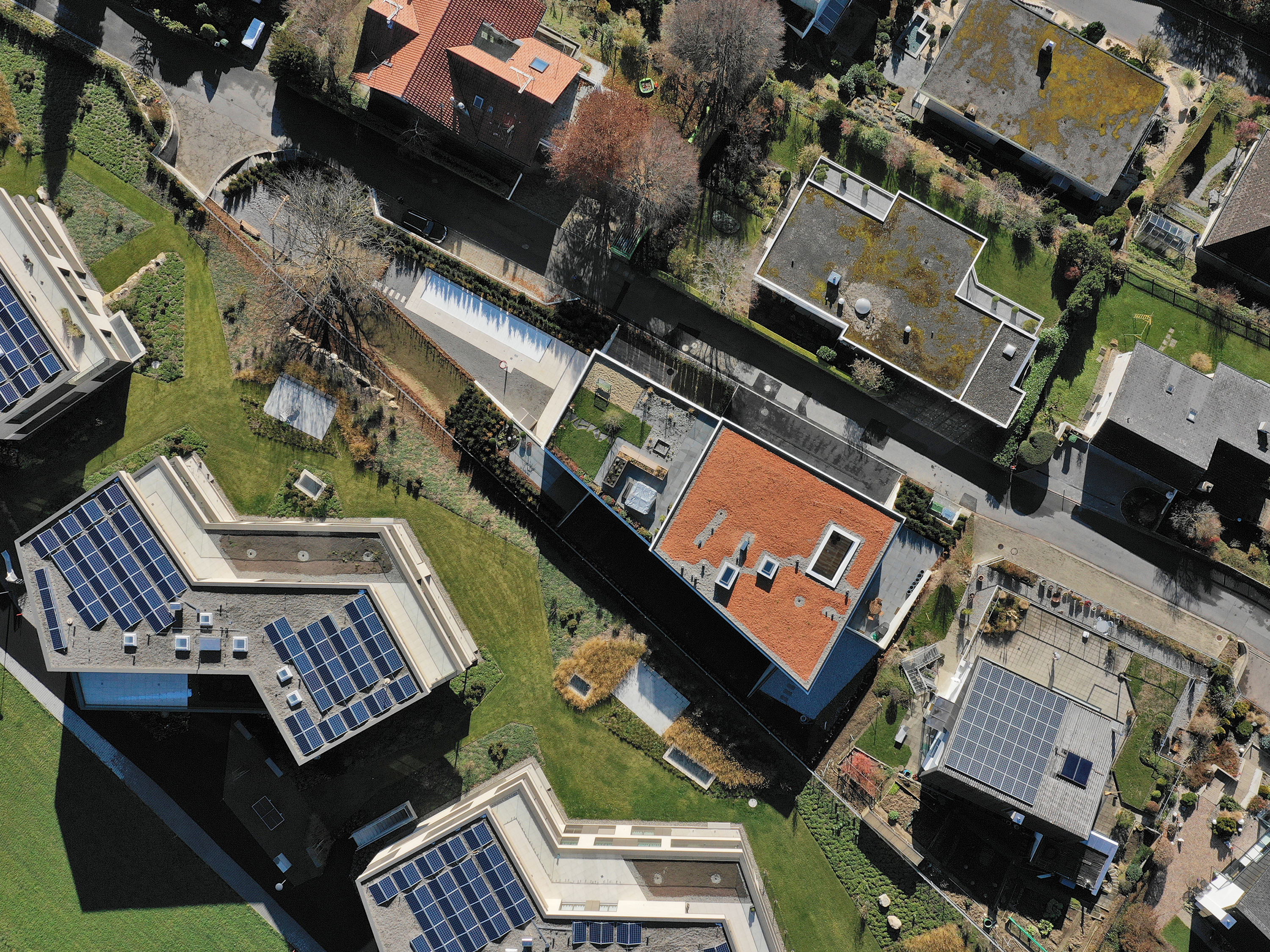 ENTFALTUNG MFH Hasenloh Oberägeri 07