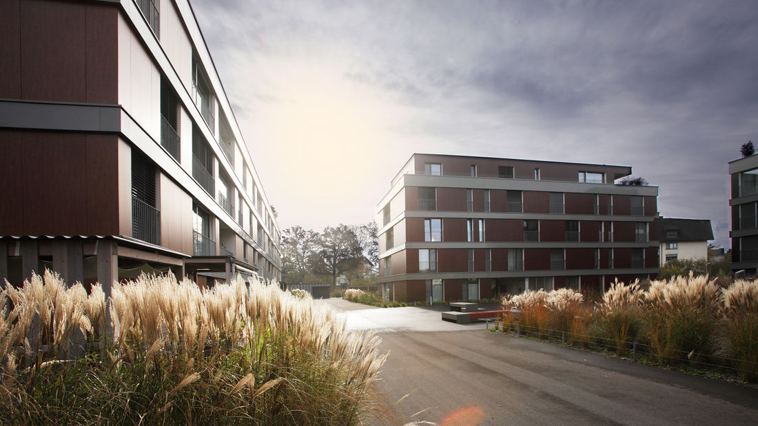 EINKLANG MFH Lorze Hagendorn 001