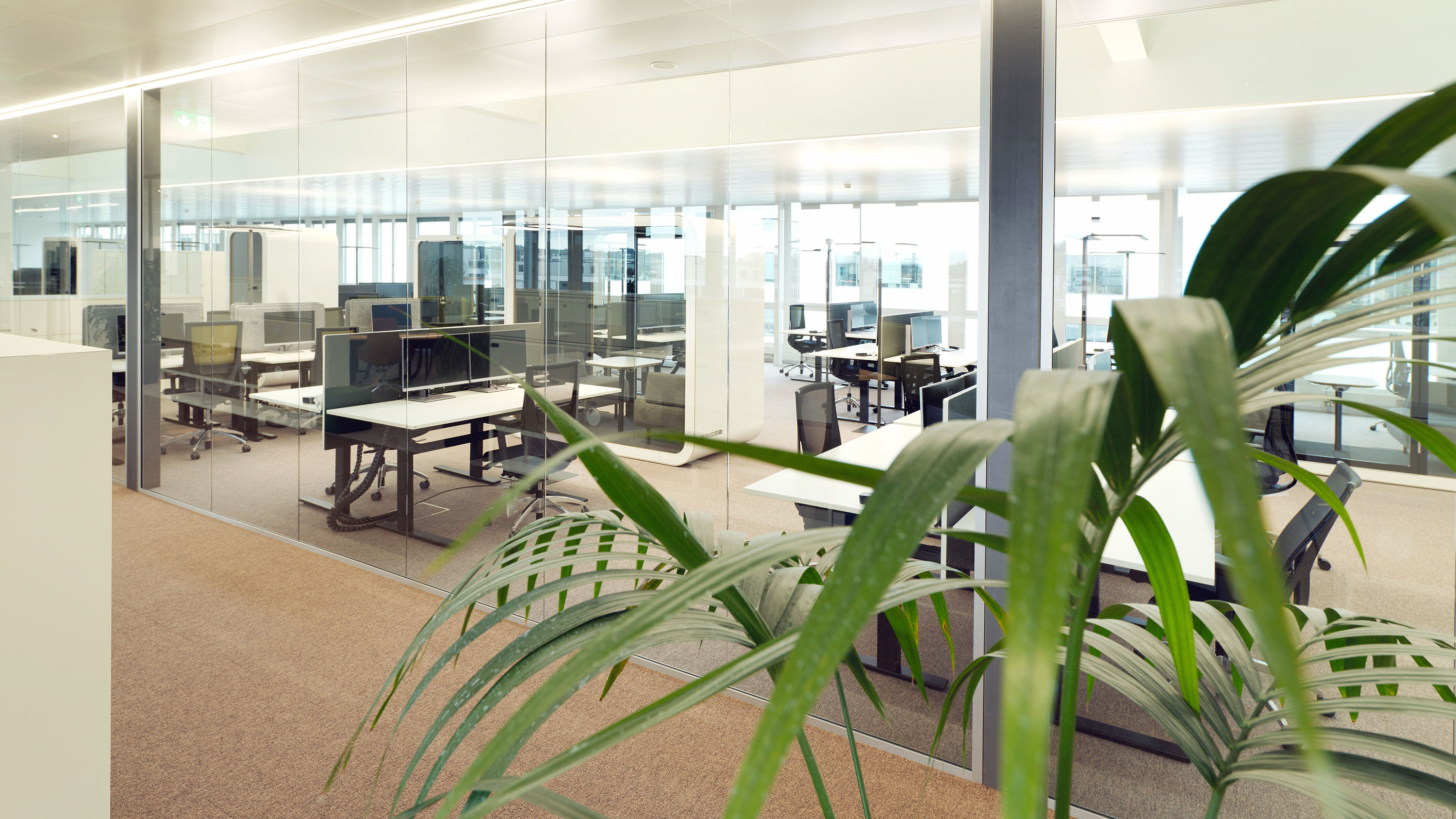 ROCHE Forrenstrasse Rotkreuz 02