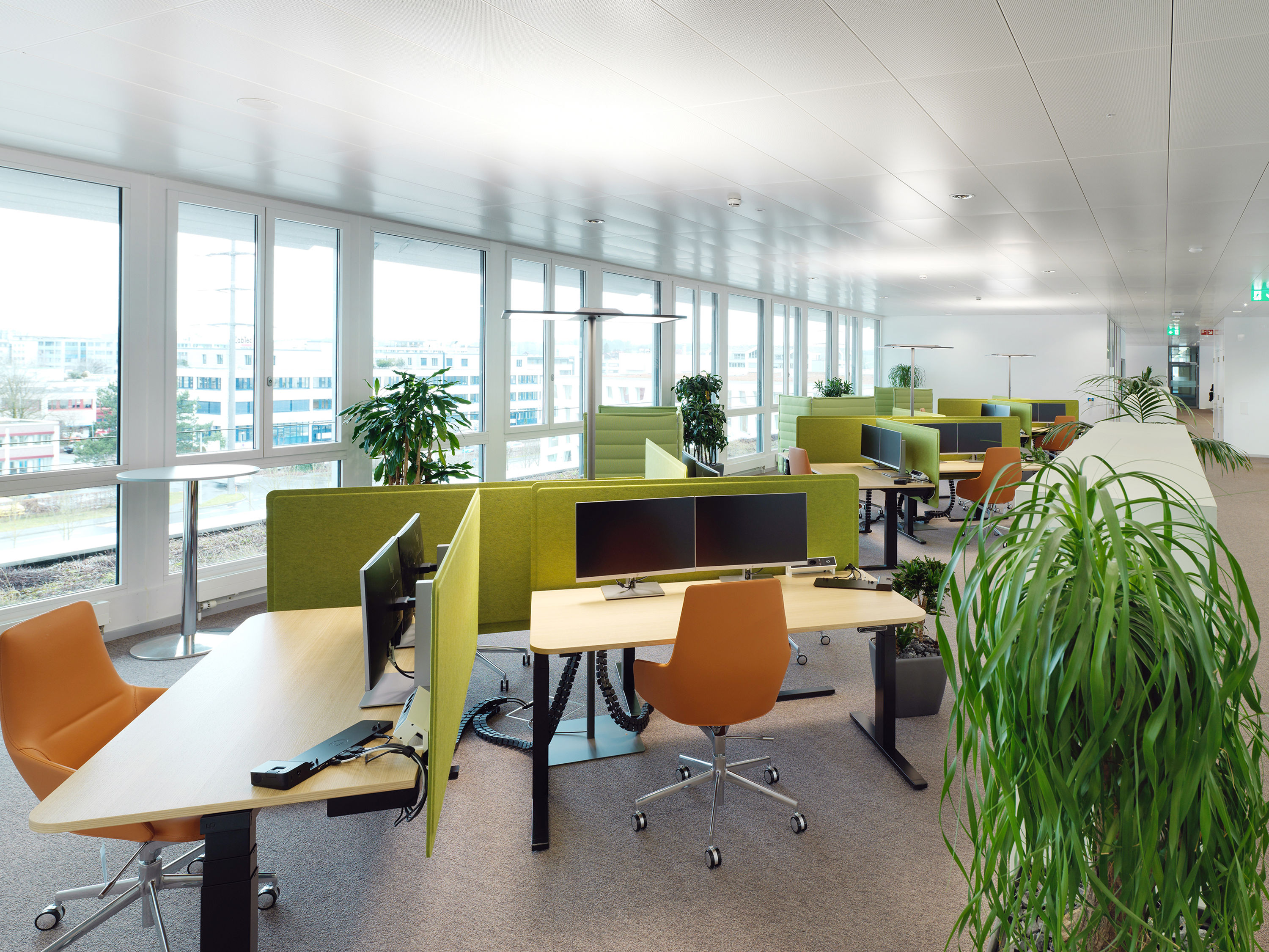 ROCHE Forrenstrasse Rotkreuz 05