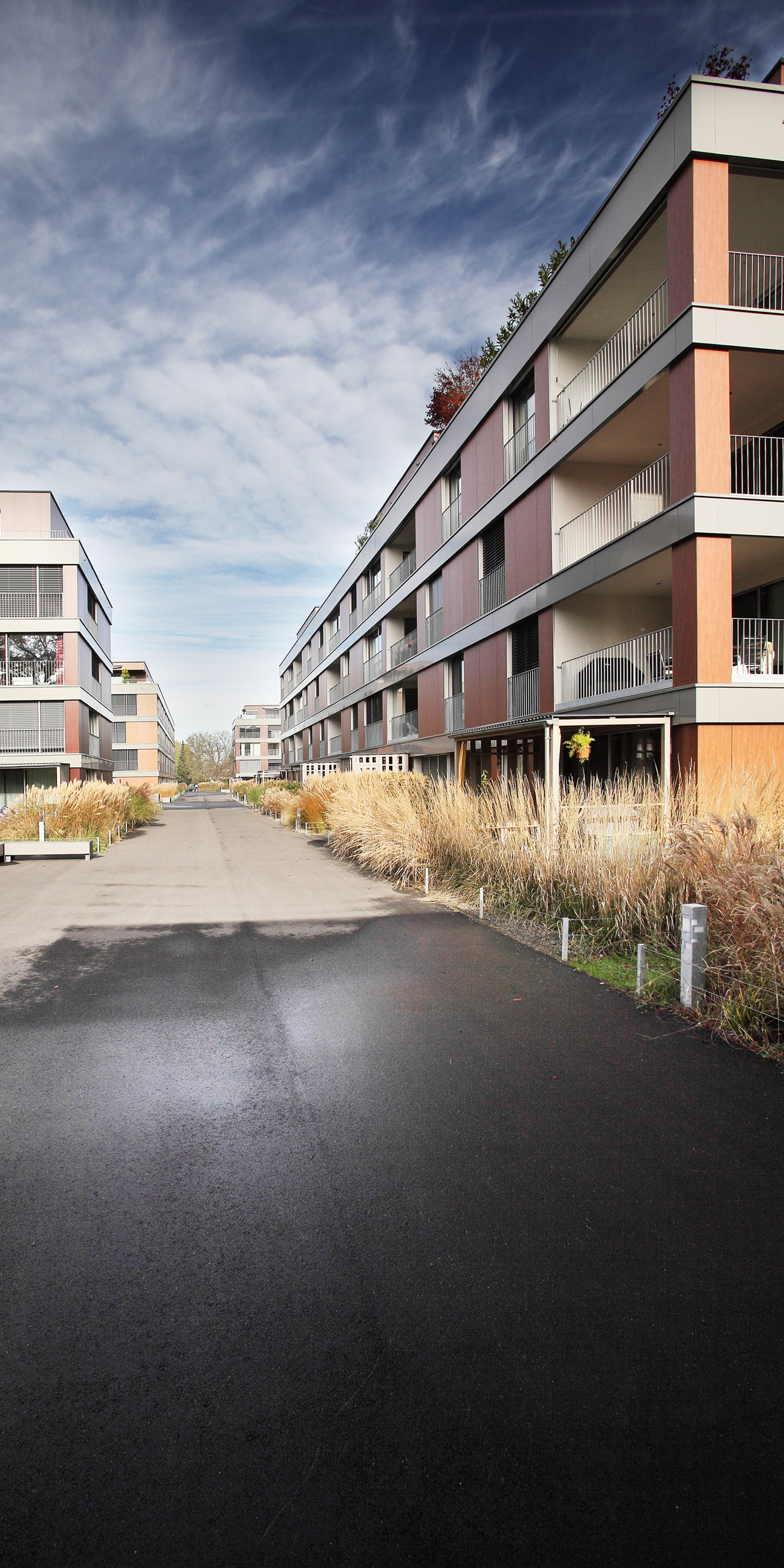 EINKLANG MFH Lorze Hagendorn 06