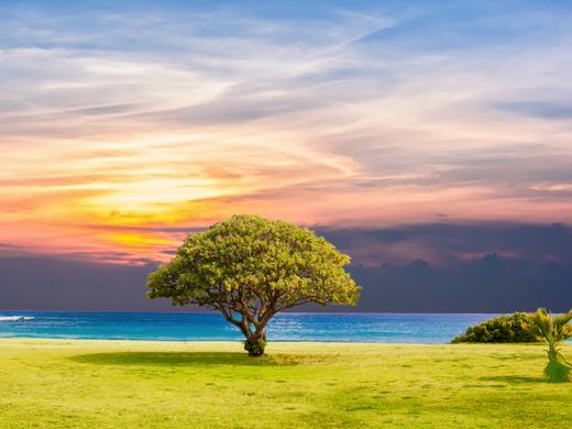 Business Card Design