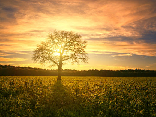 Fashion E-commerce Store