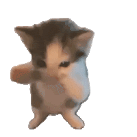 BONUS GALAYTOTO