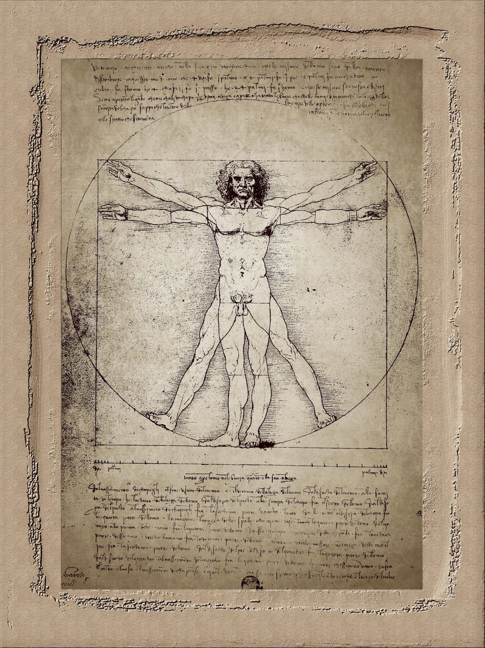 The Vitruvian Man by Leonardo Da Vinci