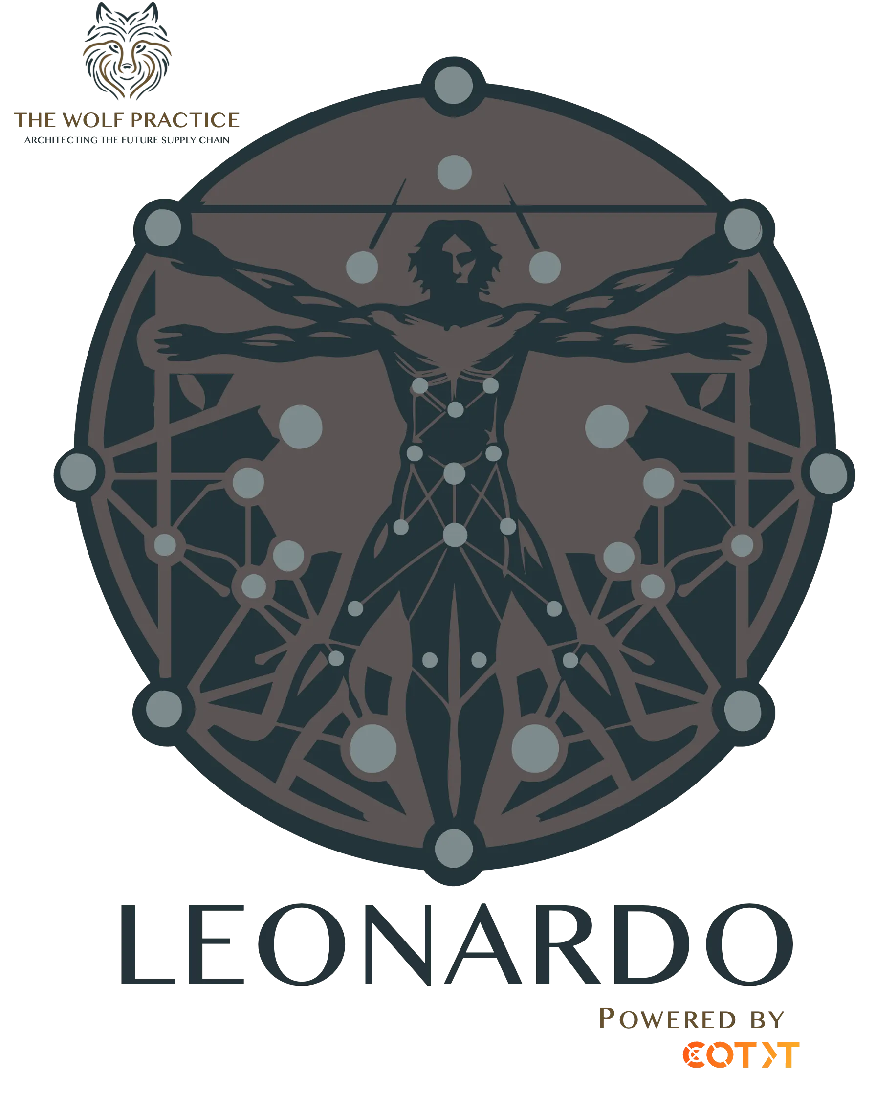 Leonardo Methodology in Supply Chain | TWP