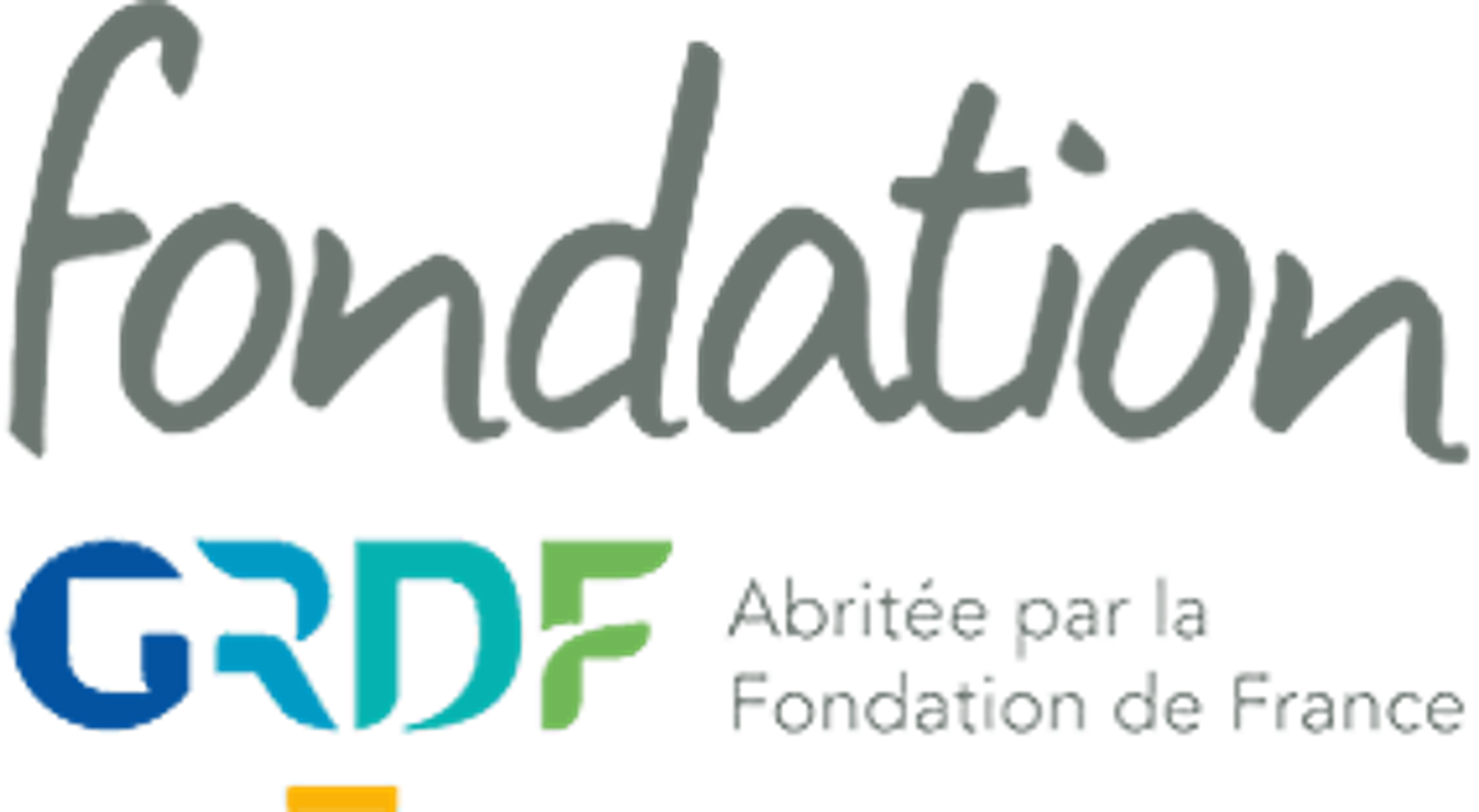 Fondation GRDF logo