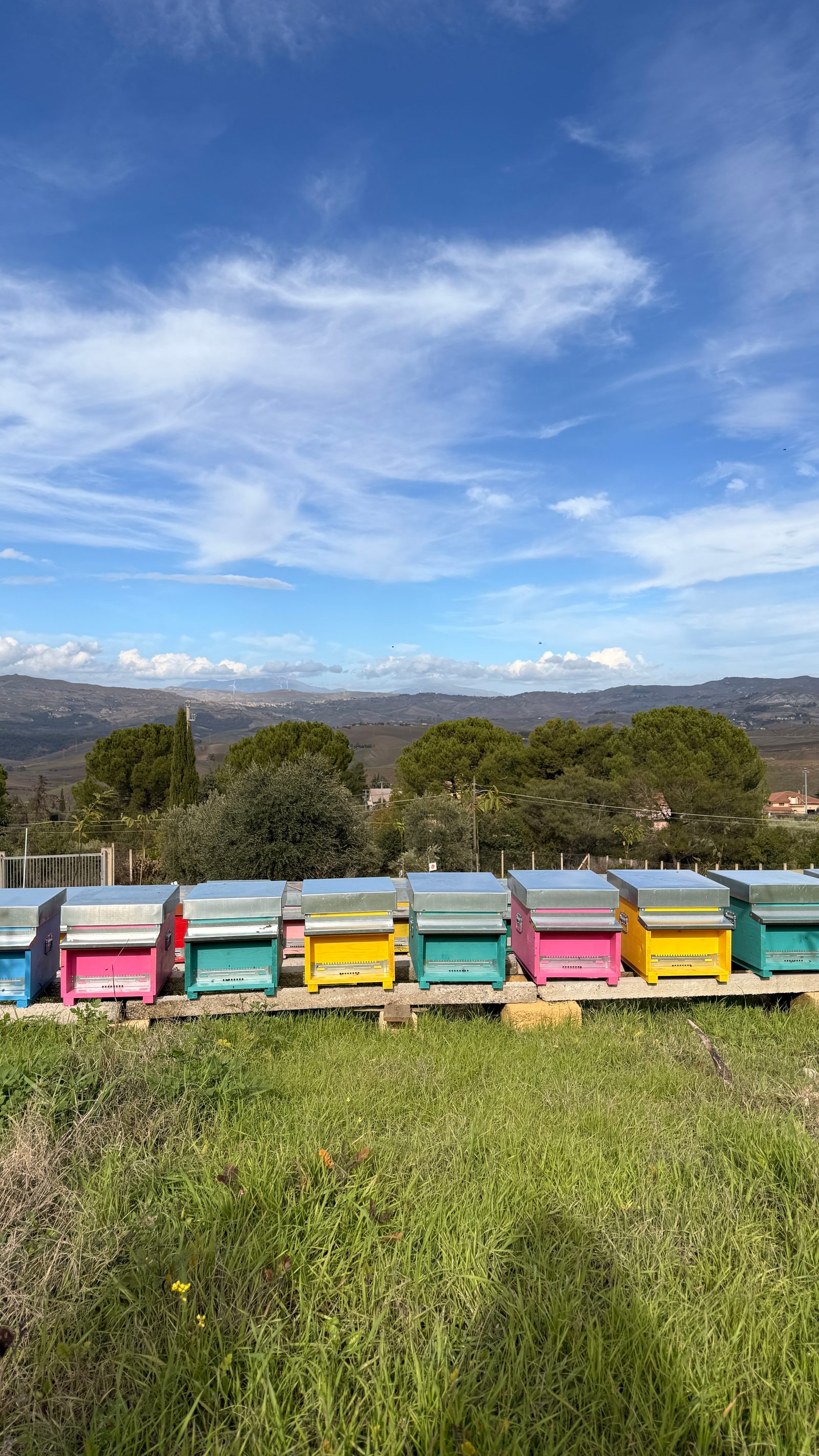 Alveari colorati nel paesaggio di Caltanissetta