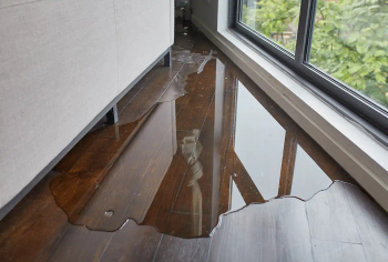 Water Mitigation & Cleanup