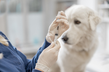 Vaccinations & Preventive Care
