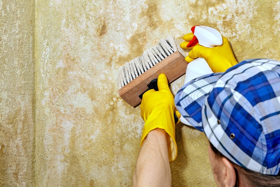 iStock-1631668610_LsCkvBdxuO.jpg