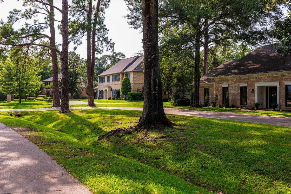 Luxurious single-family homes line a peaceful street in an affluent East Houston in Texas. Trees provide shade over meticulously manicured lawns. Houses showcase a mix of traditional and colonial styles with brick facades, columns, and large windows