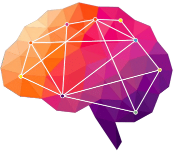 Brain Illustration