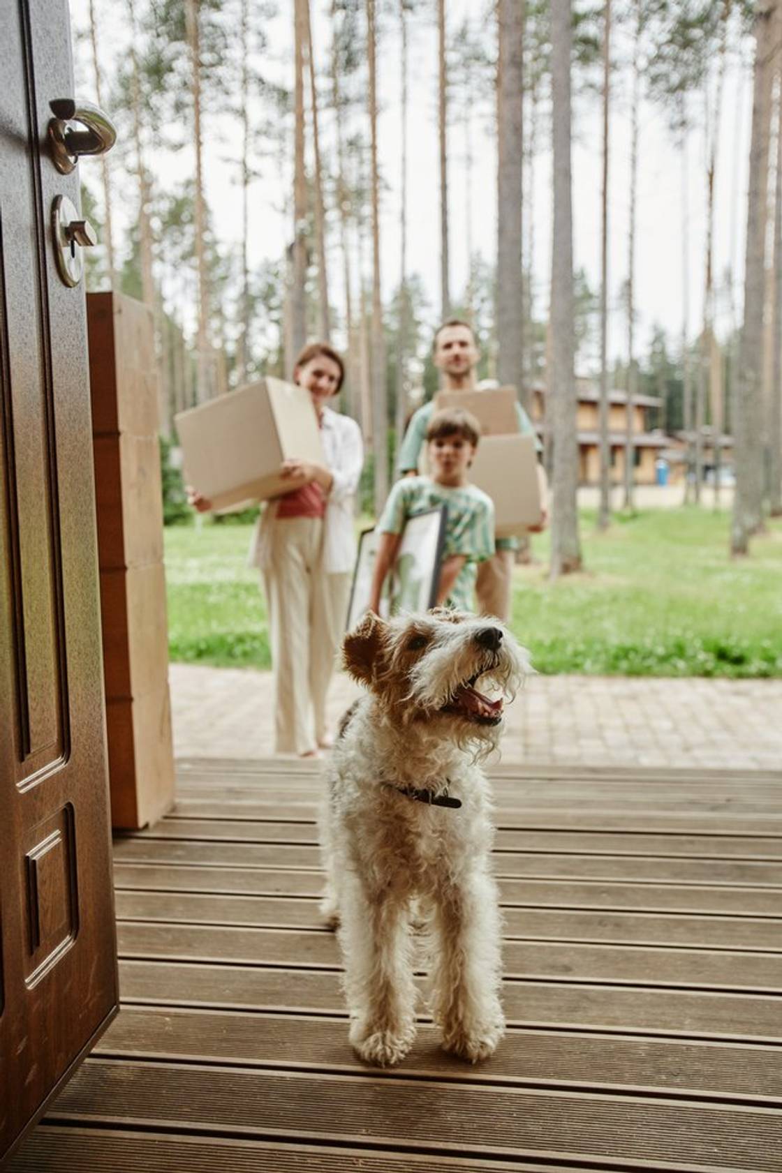 Unveiling the Different Types of Tenants in the Current Rental Market header image