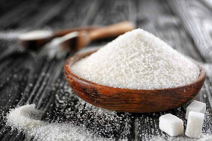 Sugar and Its Uses
