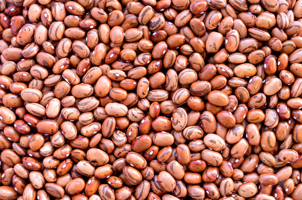 Forte estiagem no Sul do Brasil prejudicou produtividade da safra de feijão 2019/2020. (Fonte: Shutterstock)