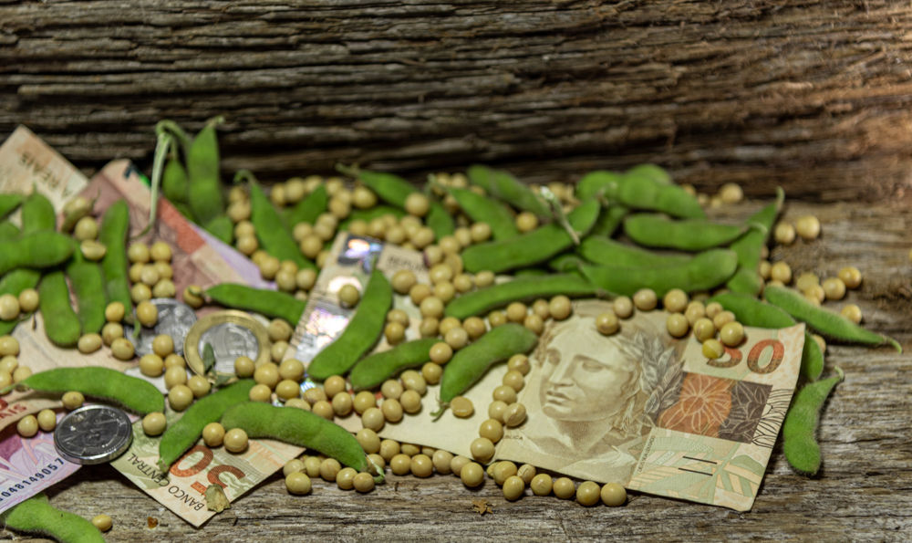 Soja tem a maior participação entre os produtos no faturamento do agronegócio brasileiro. (Fonte: Shutterstock)