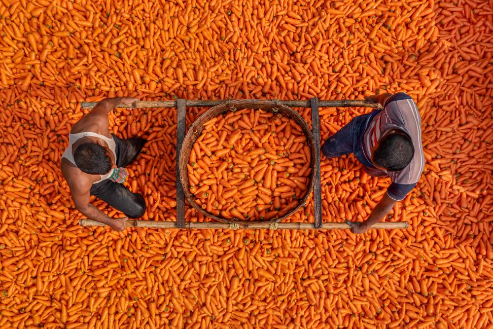 a man sitting over a pile of pumpkin