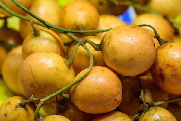 Burmese grape