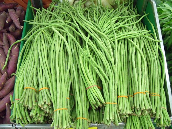Yard Long Bean