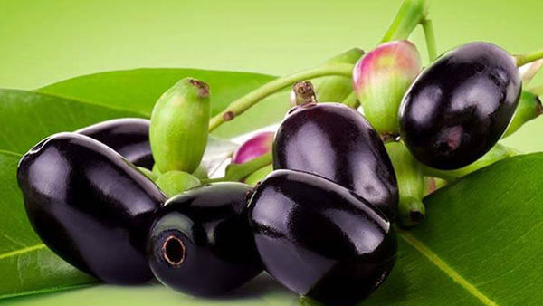 Java Plum