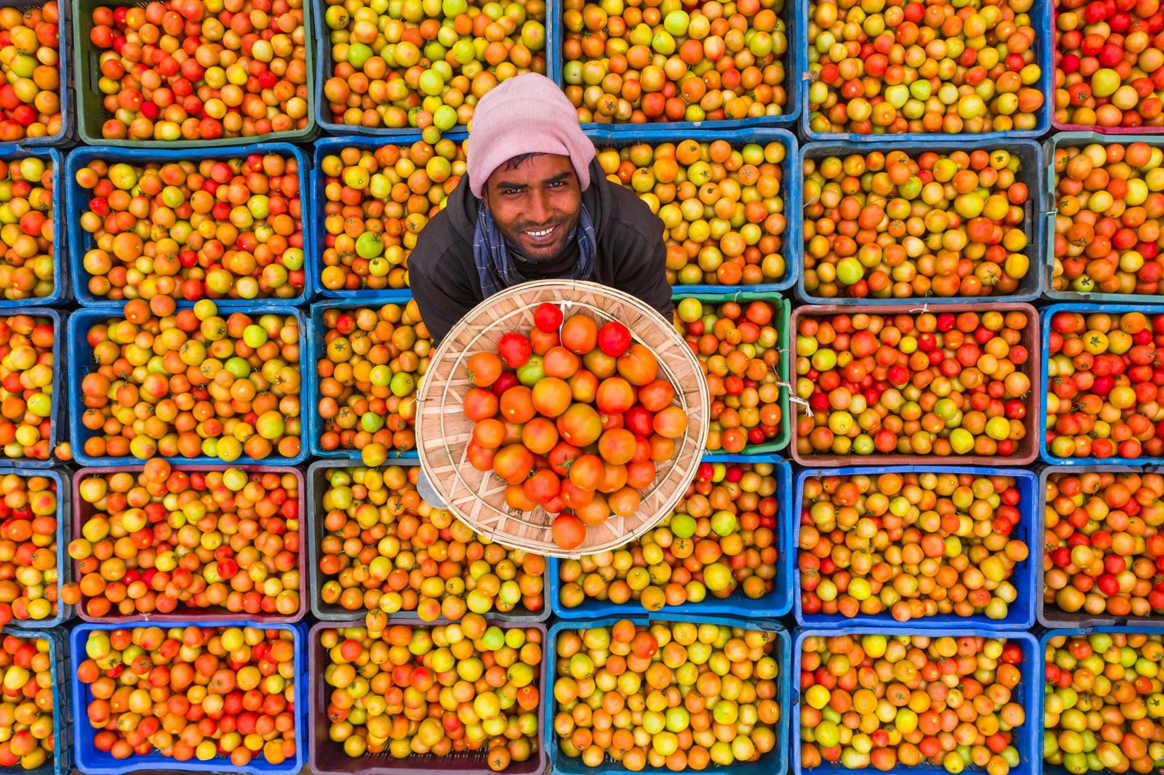 Man Holding a Busket of tomatto