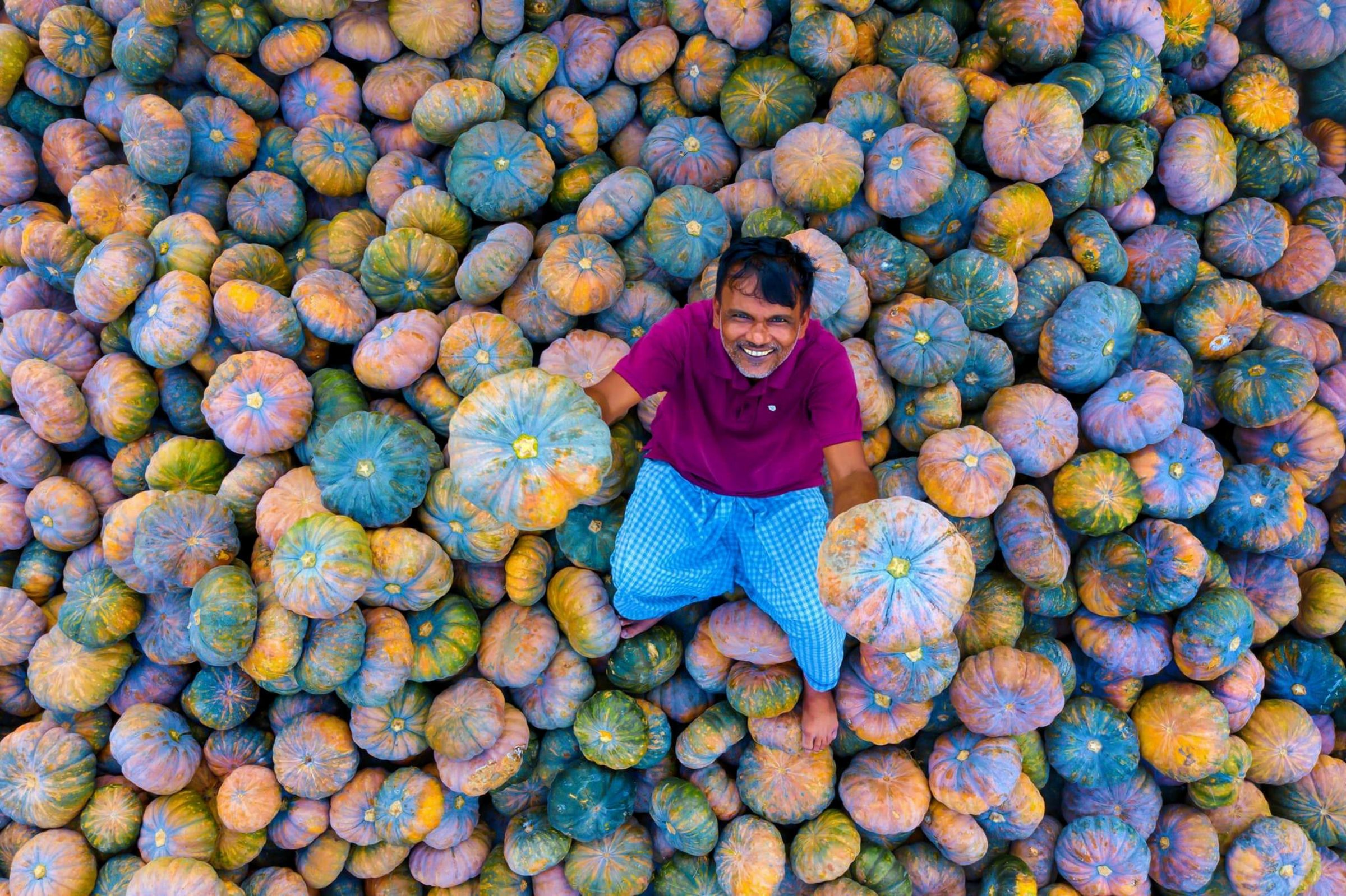 Man with Children in a Field of Cabbage