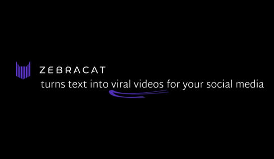 Zebracat
