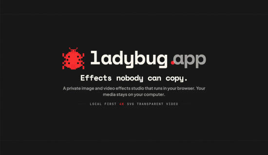 Ladybug