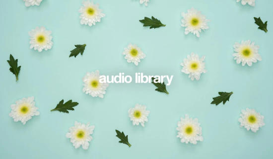 Audio Library
