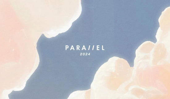 Parallel Studio