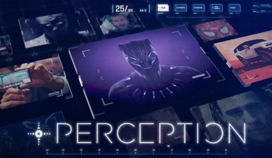 Experience Perception