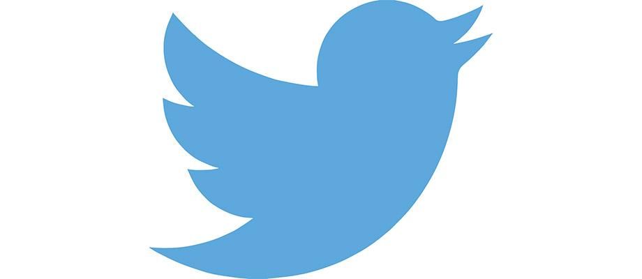 Twitter logo is a Pictorial Mark