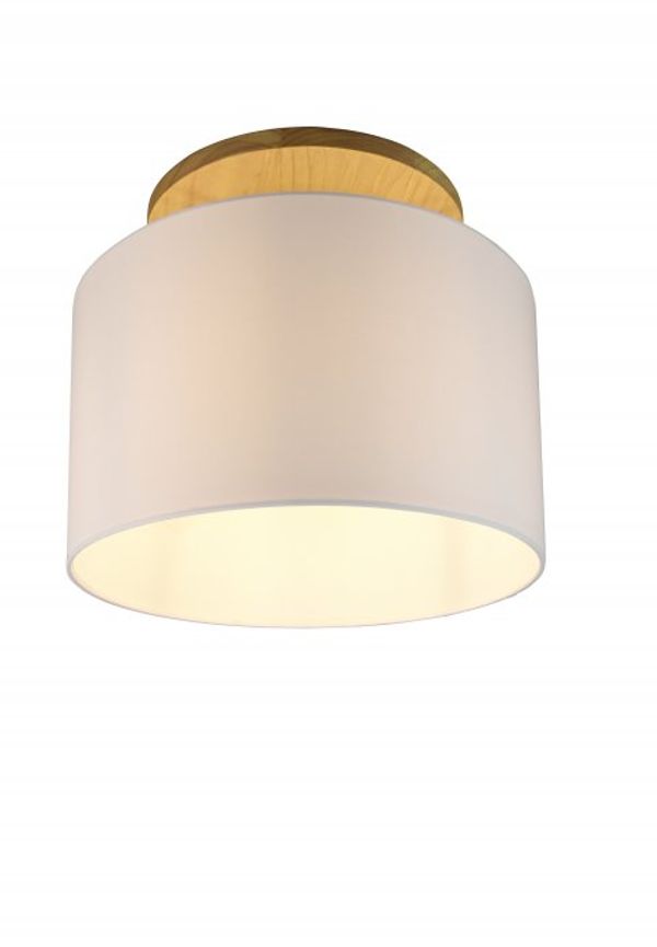 Trio Lighting glödlampa som passar perfekt till sommaren 2025!