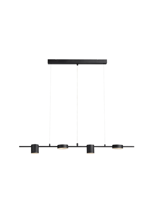 Svart taklampa som passar perfekt till våren 2025!