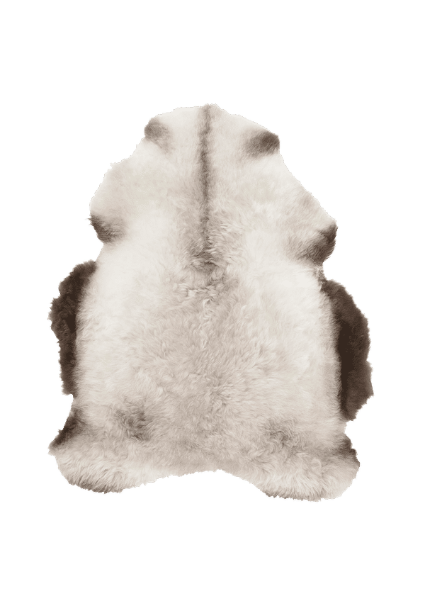 Cool fårskinnsmatta 2025 från Skinnwille.