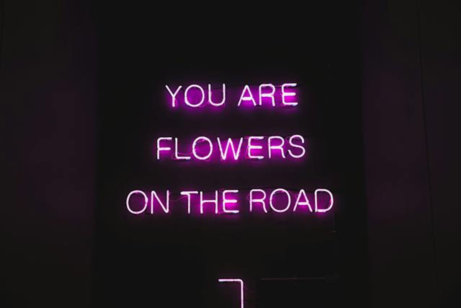 neon light words with pink theme
