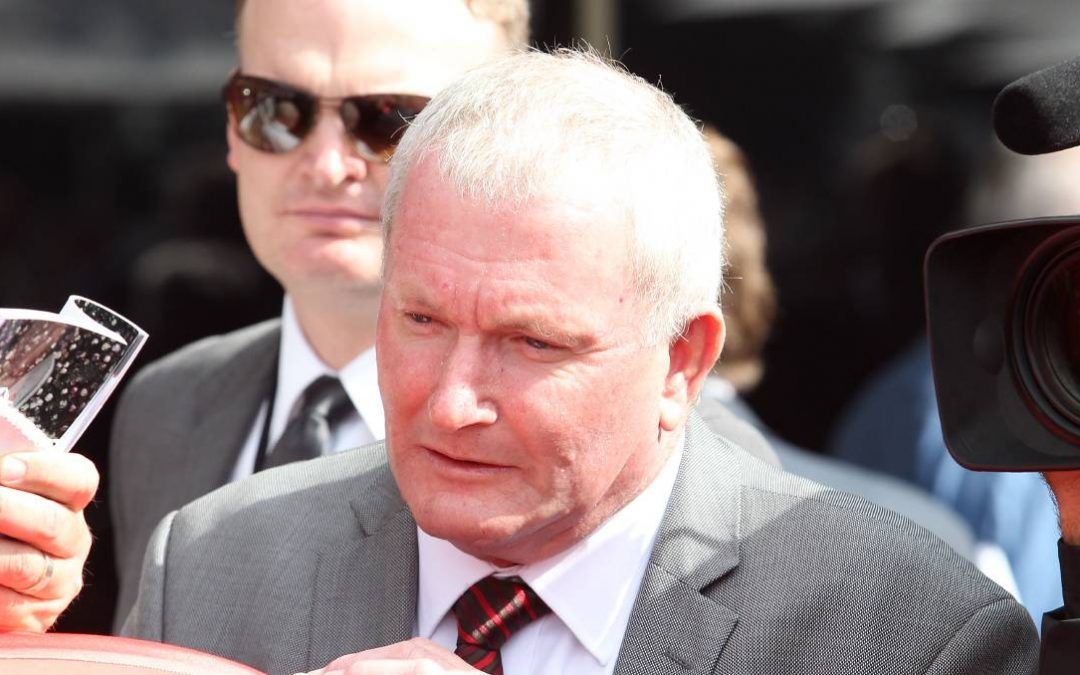 Gangsta living up to predictions in Qld