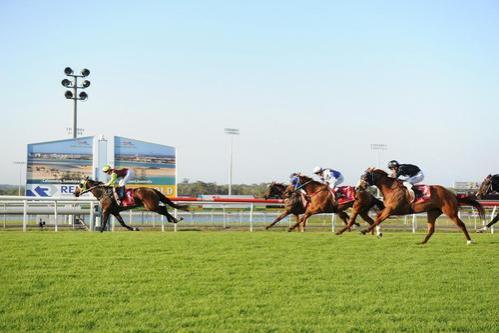 TANGO KING WINS SUNSHINE COAST CLASS 1 1400m