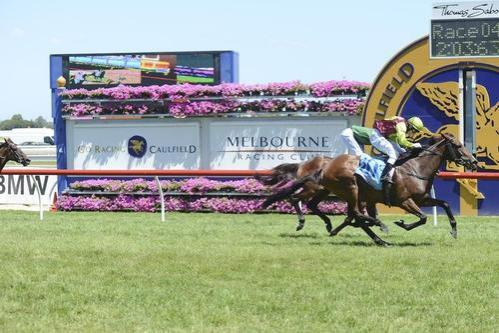 BELLS OF TROY WINS CAULFIELD FRANK O’BRIEN HANDICAP 2000M