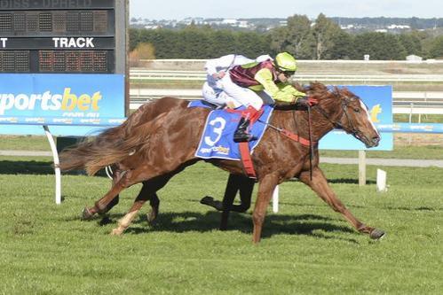 IMPECCABLE ME WINS 2YO SV GOLD MAIDEN BALLARAT